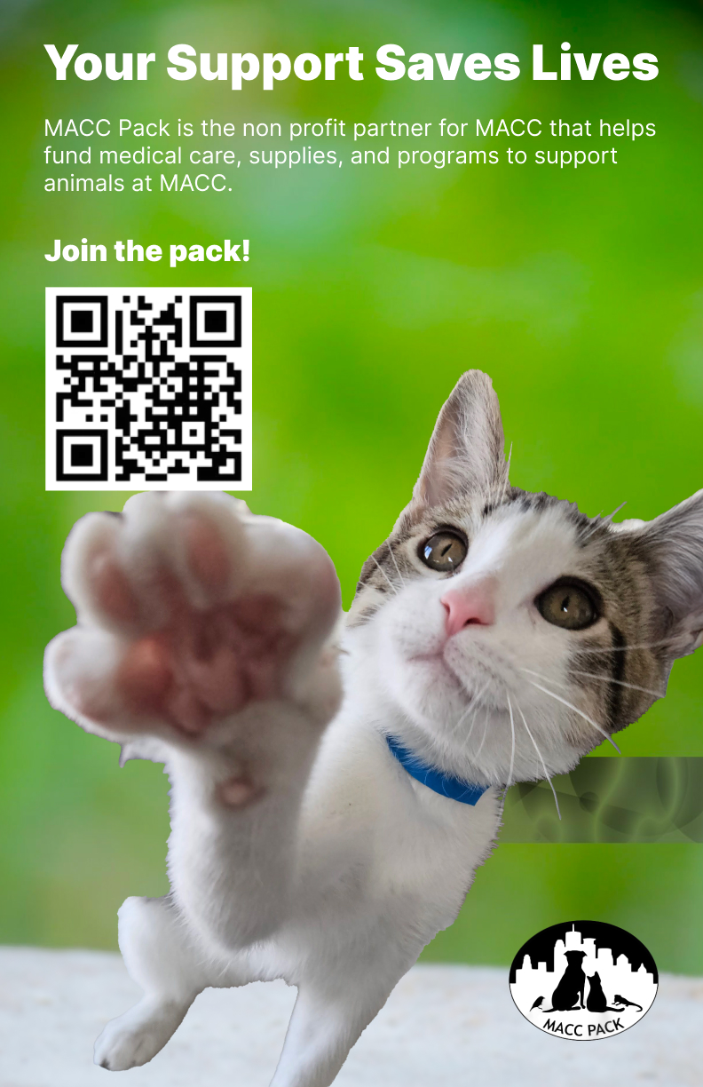 MACC Pack — Poster — 'Your Support Saves Lives'