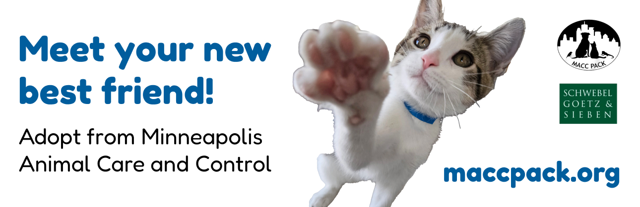MACC Pack — Billboard — 'Meet your new best friend!'