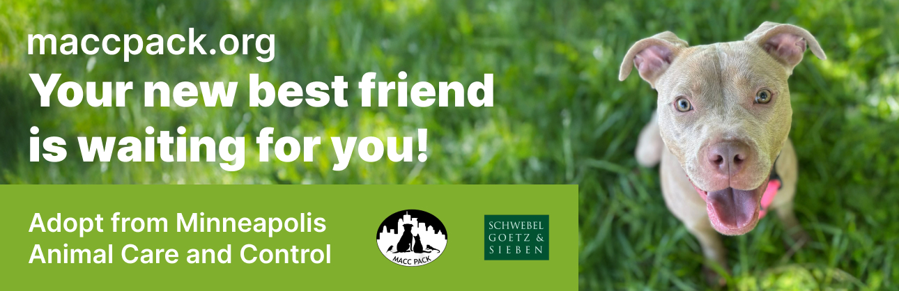 MACC Pack — Billboard — 'Your new best friend is waiting for you!'