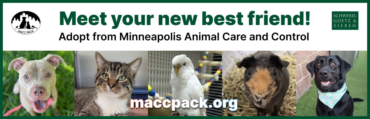 MACC Pack — Billboard — adoptable residents strip