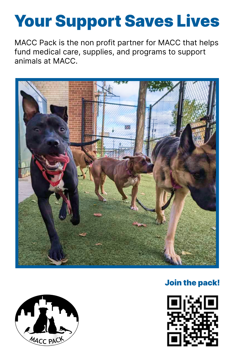 MACC Pack — Poster — join the pack