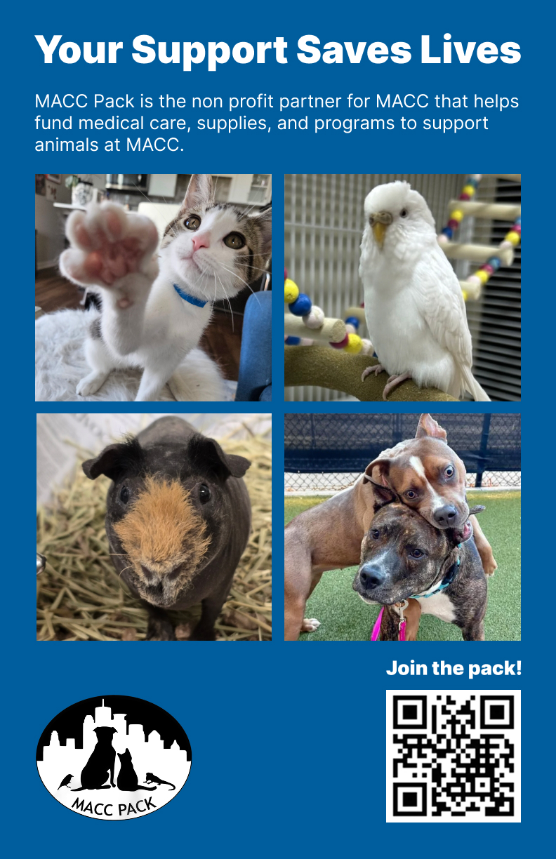 MACC Pack — Poster — the animals of MACC